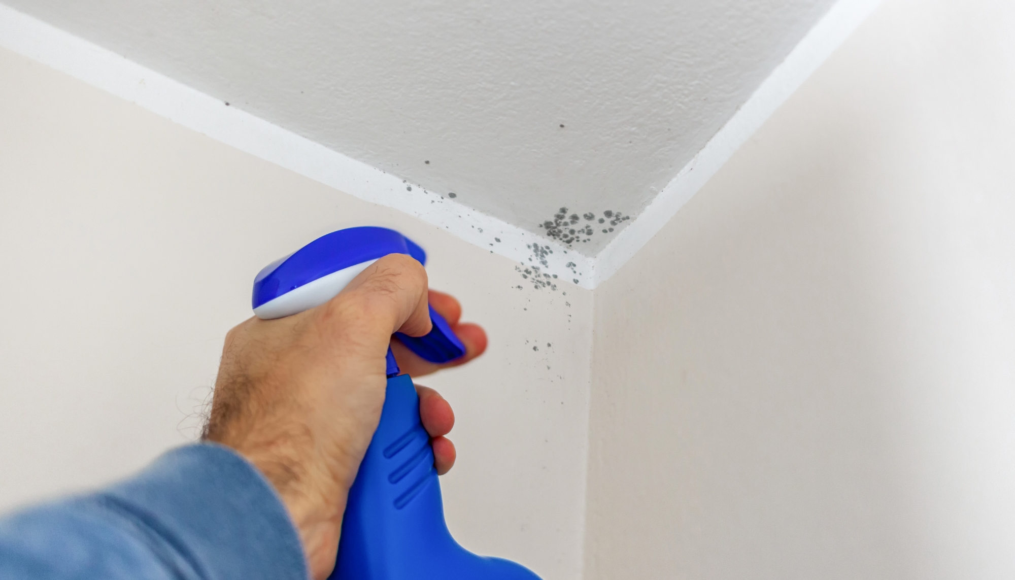 Reducing Mould and Condensation